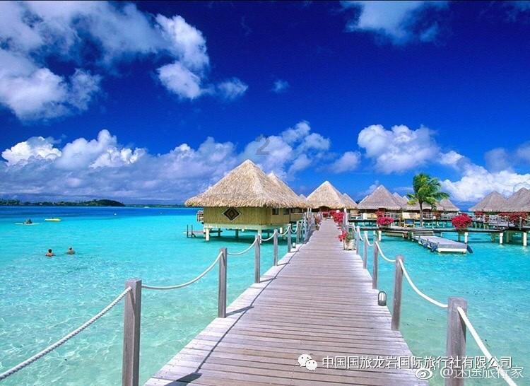 2024全新一年让赛芭莱儿为你带来心动的温暖